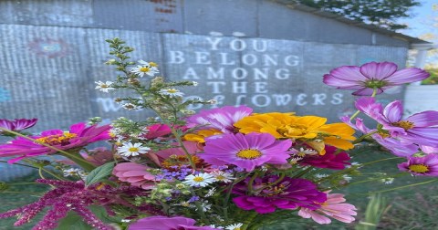 A Colorful U-Pick Flower Farm, Sacred Hollow Farm In Arkansas Is Like Something From A Dream