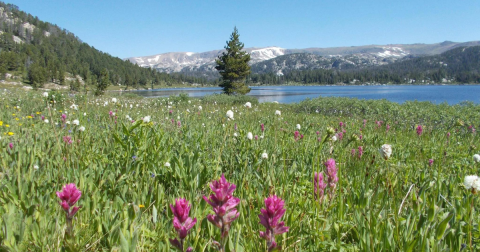 10 Easy And Beautiful Spring Hikes Everyone In Wyoming Will Love