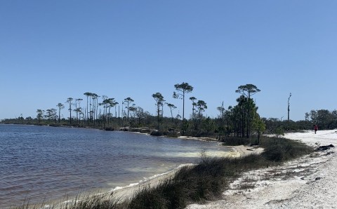 The Hike To This Secluded Beach In Alabama Is Positively Amazing