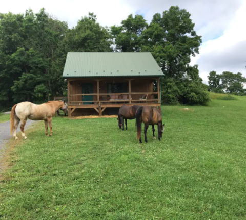 This Cabin On A Horse Farm In West Virginia Is One Of The Coolest Places To Spend The Night