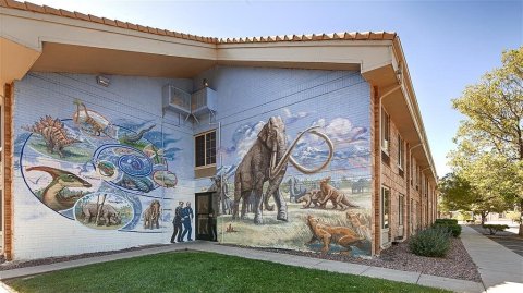 With A Dinosaur Bones And Decor, The Coolest Best Western In The World Is Right Here In Colorado