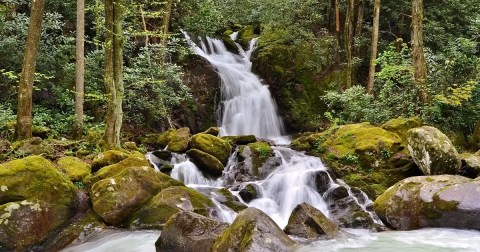 10 Easy And Beautiful Spring Hikes Everyone In North Carolina Will Love