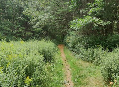 With A Historical Site And A River, The Little-Known October Farm Loop In Massachusetts Is Unexpectedly Magical