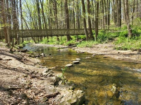 With Stream Crossings and Footbridges, The Little-Known Snow Goose Loop Trail In Delaware Is Unexpectedly Magical