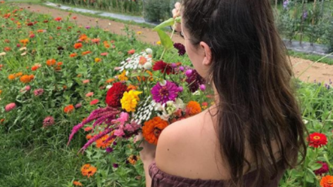 A Colorful U-Pick Flower Farm, Lockbriar Farms In Maryland Is Like Something From A Dream