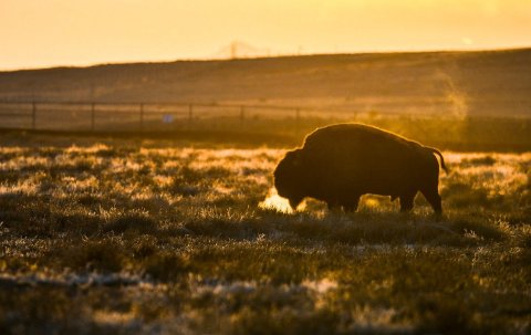 One Of The Largest Wildlife Refuges In The Country Is Right Here In Colorado... And Admission Is Free