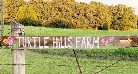 A Colorful U-Pick Flower Farm, Turtle Hills Farm In Missouri Is Like Something From A Dream