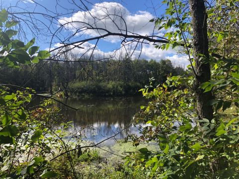 Take An Easy Loop Trail To Enter Another World At Pike Lake In Wisconsin