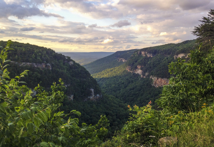 Cloudland Canyon Hiking