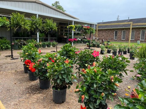 Nestled In The Middle Of A Farmers Market, This Tiny Mississippi Diner Is An Enchanting Day Trip Destination