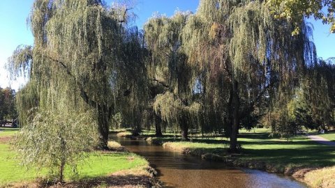 This Family-Friendly Park In Pennsylvania Has A Pool, Hiking Trails, And More