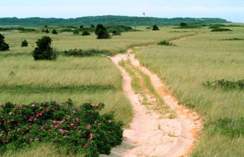 The Little-Known Wildlife Refuge Is Practically A Sanctuary For Massachusetts Nature Lovers