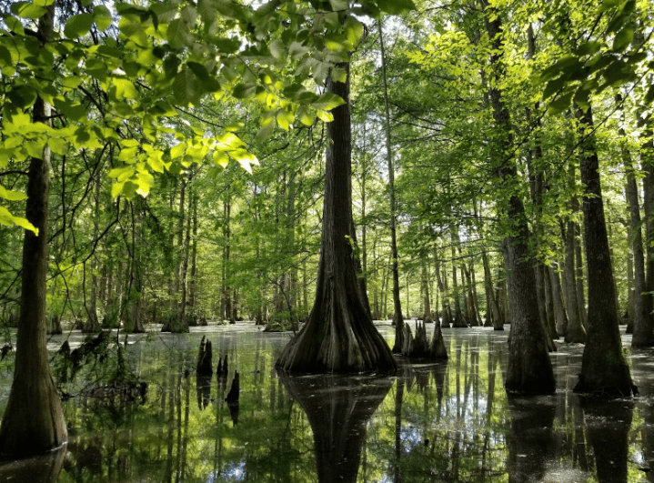 outdoor activities in Mississippi