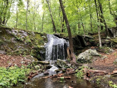 Take This Easy Trail To An Amazing Waterfall In Rhode Island