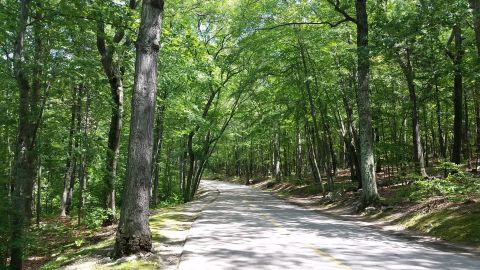 Take A Paved Loop Trail Around This Rhode Island Pond For A Peaceful Adventure