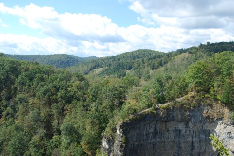 Explore Virginia's Appalachia At This Underrated State Park