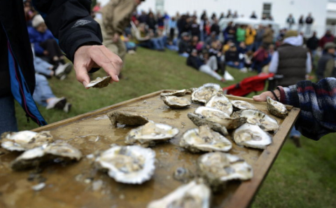 More Than 50,000 People Attend The Yearly Urbanna Oyster Festival In Virginia And It's Not Hard To See Why