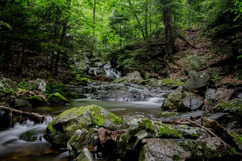 A Trail Full Of Creek Cascade Views In Hacklebarney State Park Will Lead You To A Waterfall Paradise In New Jersey