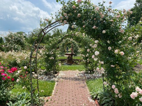 The One-Of-A-Kind Topiary Garden In Maryland Is Absolutely Heaven On Earth