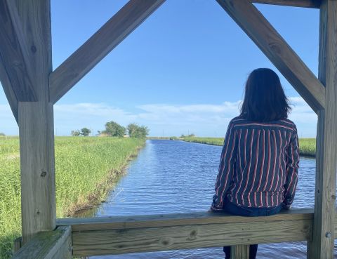 The Louisiana Lookout Point With Majestic Views Year-Round