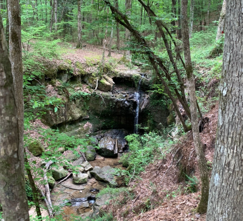 A Short But Beautiful Hike, Rock Falls Trail Leads To A Little-Known Waterfall In Louisiana