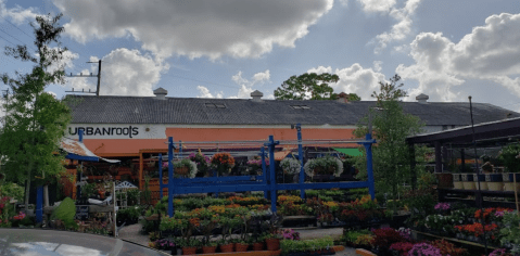 Nestled In The Middle Of A Garden Center, This Tiny Louisiana Cafe Is An Enchanting Day Trip Destination