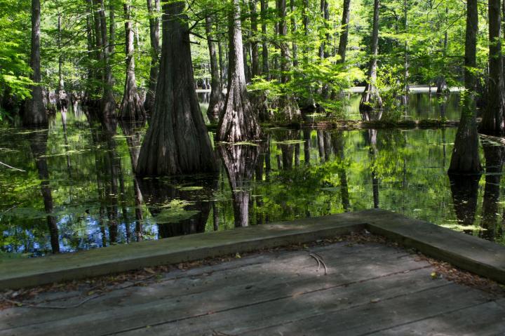 hidden places in Mississippi