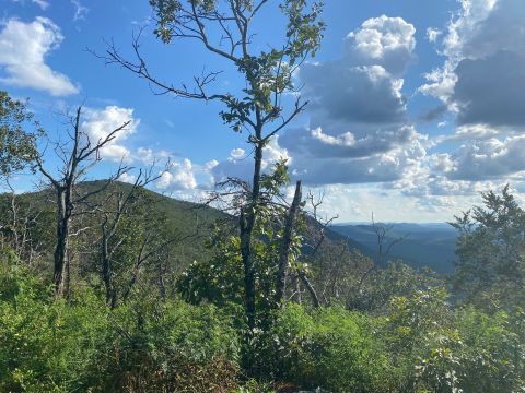 Hike Into The Clouds On The Cheaha Mountain - Alabama Highpoint Trail In Alabama's Talladega National Forest