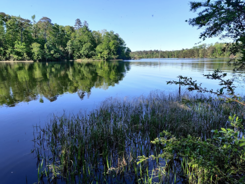 The Most Remote Lake In Louisiana Is Also The Most Peaceful