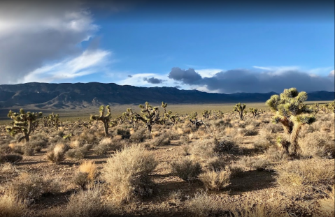 The Largest Wildlife Refuge In The Continental U.S. Is In Nevada, And It's Magical