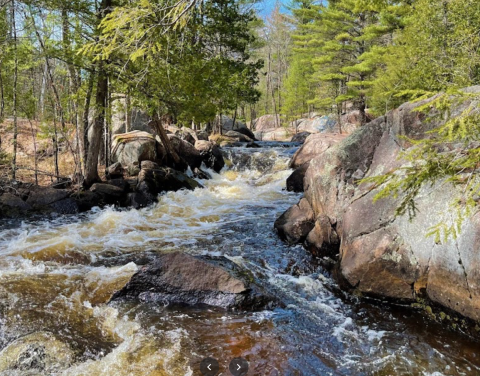 A Trail Full Of Forest Views By A Scenic Bridge Will Lead You To A Waterfall Paradise In Wisconsin