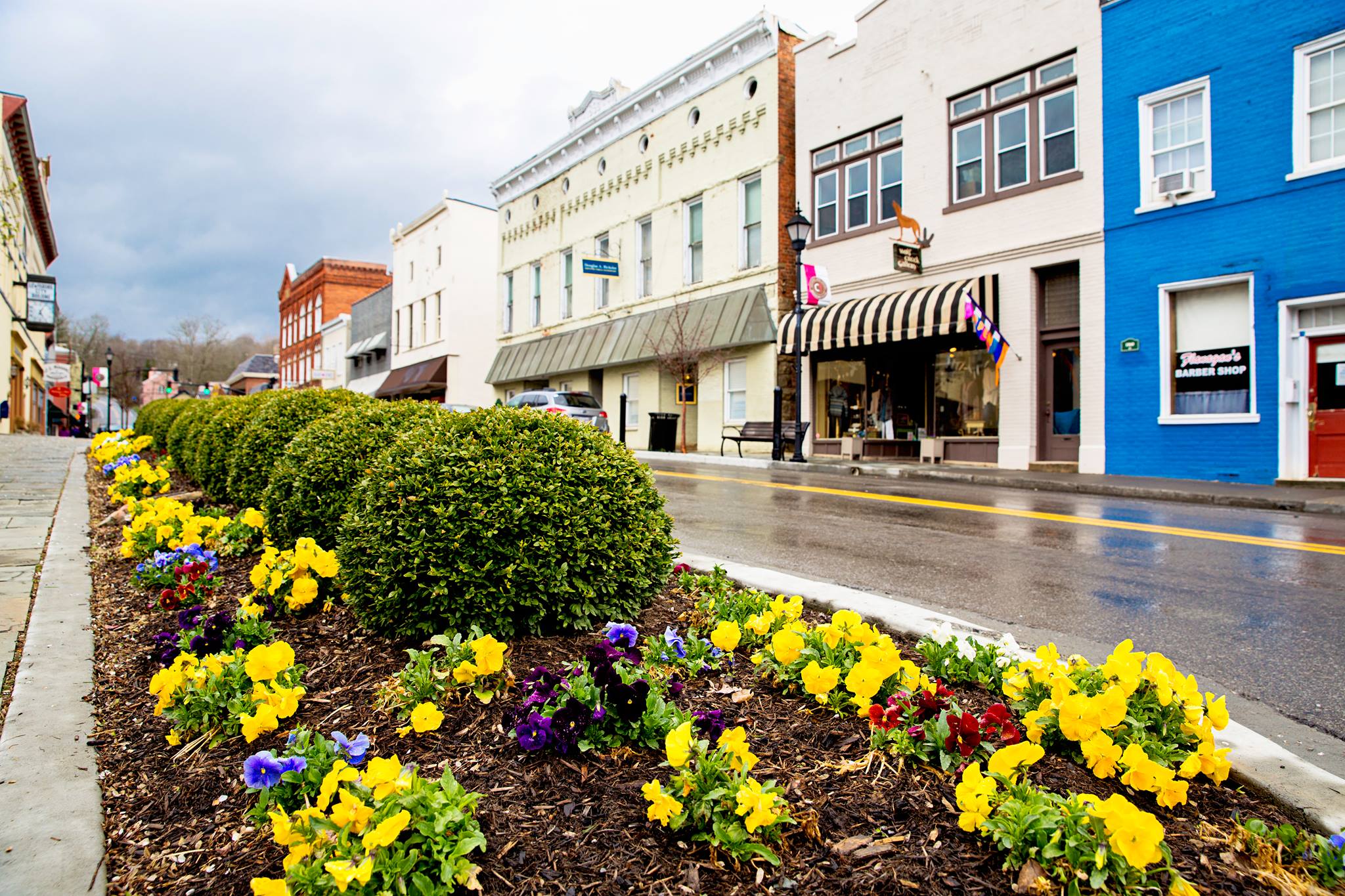 West Virginia banner image