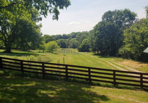 A Colorful U-Pick Flower Farm, Menkveld Farm In Tennessee Is Like Something From A Dream