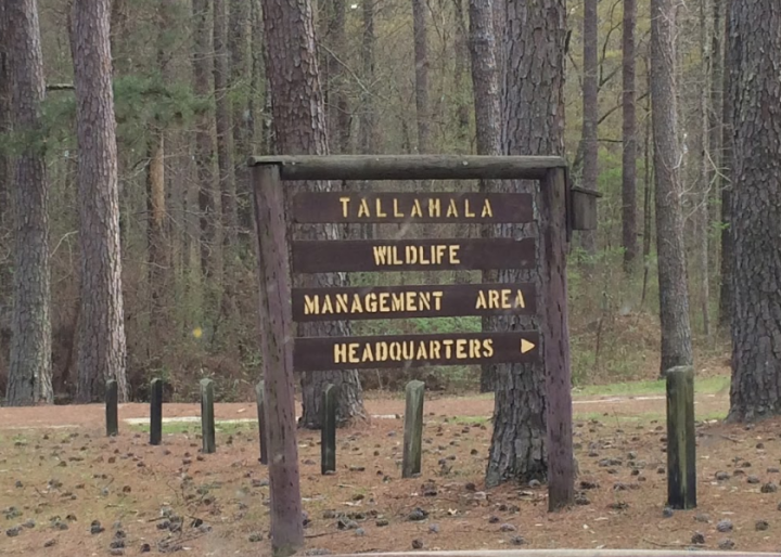 Tallahala WMA