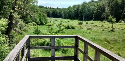 The Little-Known Florence Shelly Preserve Is Practically A Sanctuary For Pennsylvania Nature Lovers