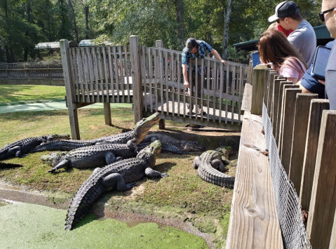 Part Petting Zoo And Part Amusement Park, Gators & Friends Is The Ultimate Summer Day Trip In Louisiana