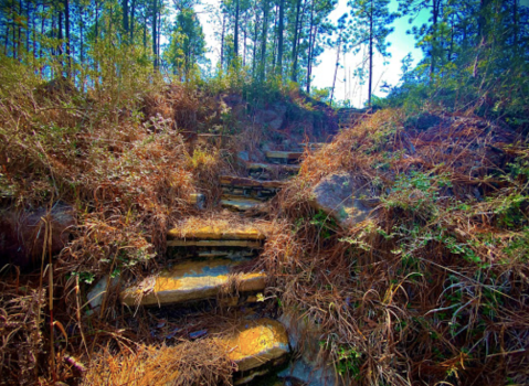 Climb A Natural Rock Staircase Into The Clouds On The Longleaf Vista Nature Trail In Louisiana’s Kisatchie National Forest