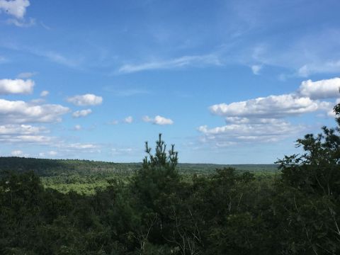 Hike Into The Clouds On The Mount Tom Trail In Rhode Island’s Arcadia Management Area