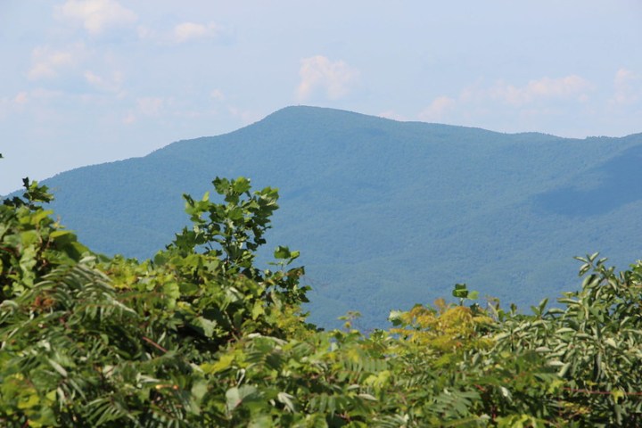 Grassy Mountain Hikes