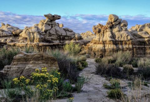 If There Are Only 5 Family Hikes You Ever Take In New Mexico, Follow These Easy Trails