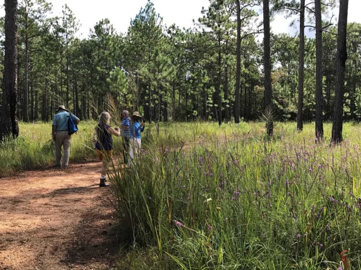 Visitors walking on a path at a Mississippi botanical garden