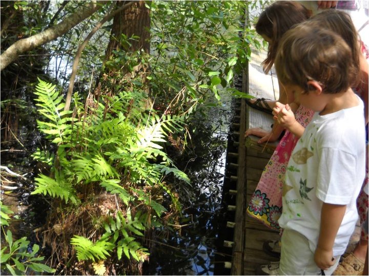 Children enjoying an aquatics exhibit at the Crosby Arboretum