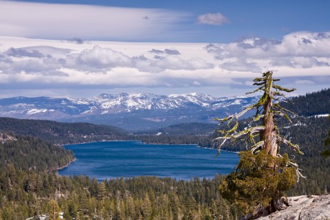 The Clearest Lake In Northern California, Donner Lake, Is Almost Too Beautiful To Be Real