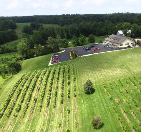 The Indiana Restaurant That Also Has Its Own Wine Cellar Is Too Fantastic To Overlook