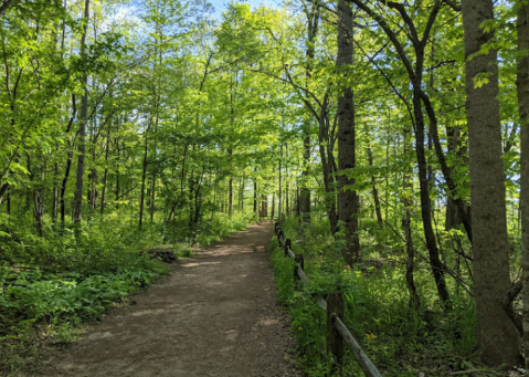 This Family-Friendly Park In Indiana Has A Lake, 16 Miles Of Trails, And More