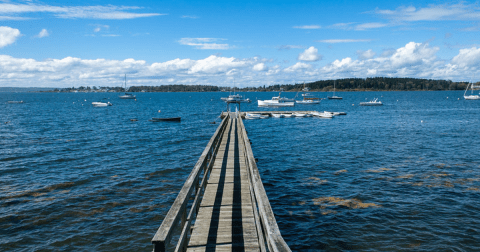 7 Tremendous Tidal Pools Hiding In Maine You'll Want To Check Out This Summer