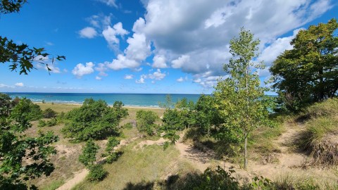 The Cowles Bog Trail Offers Some Of The Most Breathtaking Views In Indiana