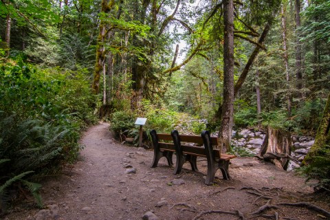 With Footbridges and Waterfalls, The Little-Known Wallace Falls Trail In Washington Is Unexpectedly Magical