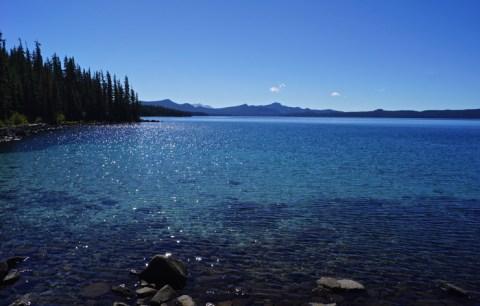 The Clearest Lake In Oregon, Waldo Lake, Is Almost Too Beautiful To Be Real