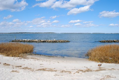 Here Are 5 Of The Most Refreshing Waterfront Trails You Can Take In Delaware